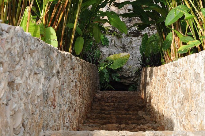 Choose your experience to live in Los 7 Cenotes San Gerónimo - Exploring on Bicycles: Nature at Its Finest