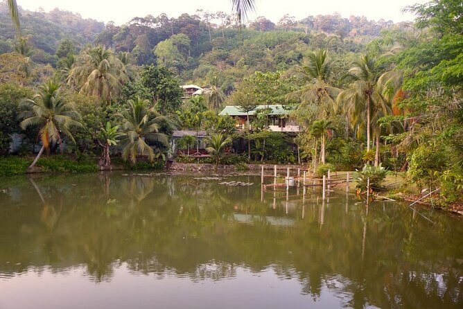 Choose Your Own Dishes: Half-Day Thai Cooking Class in Phuket - A Close Look at the Experience