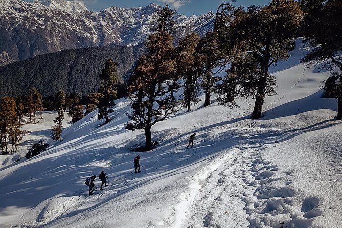 Chopta Trek - Introduction: Why the Chopta Trek Stands Out