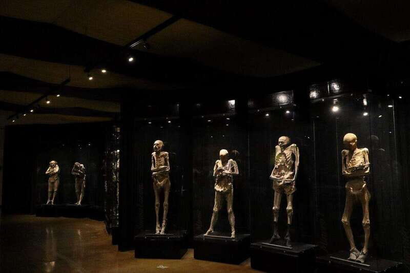 Christ the King Traveling Mummies VS El Santo and Catrinas - The Catrinas: Colorful Symbols of Day of the Dead