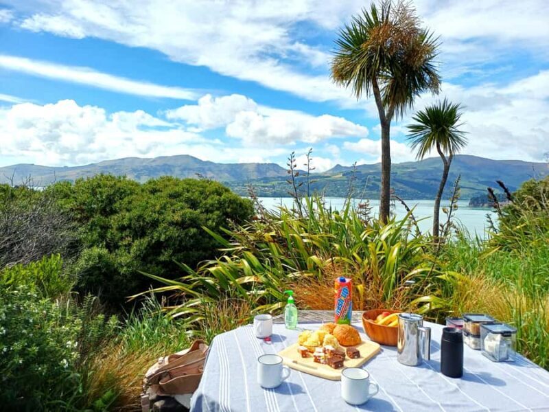 Christchurch: 1/2-Day Scenic Highlights Small Group Tour - In-Depth Breakdown of the Itinerary