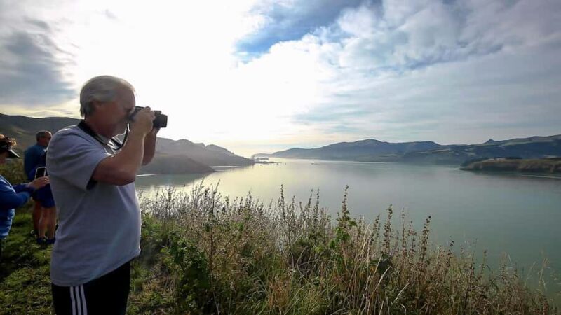 Christchurch: 1/2-Day Scenic Highlights Small Group Tour - Pricing and Value