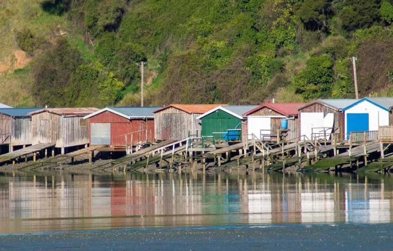 Christchurch: Akaroa and Banks Peninsula Day Trip - FAQs