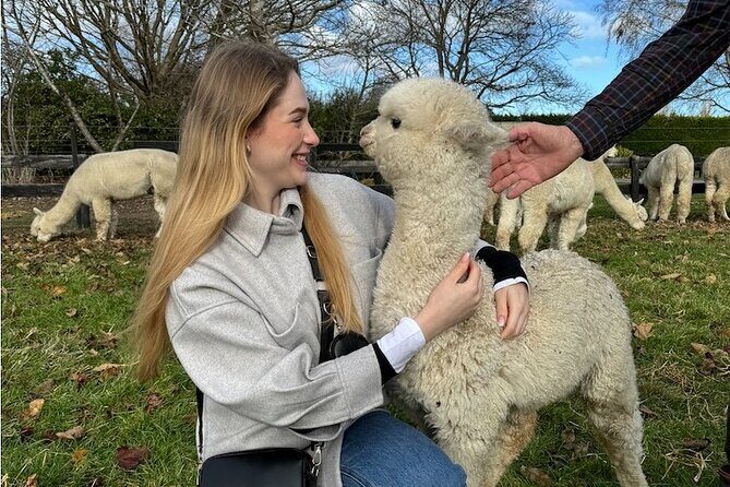 Christchurch Alpaca Farm Tour From Kaiapoi - Why This Tour Offers Real Value
