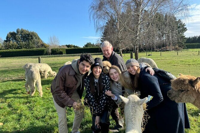 Christchurch Alpaca Farm Tour From Kaiapoi - The Sum Up: Why You Should Consider This Experience