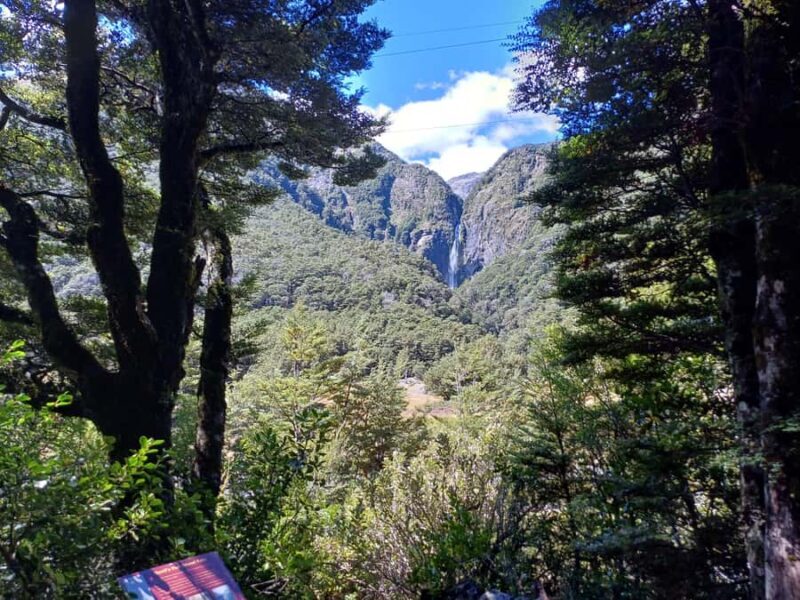 Christchurch: Arthur's Pass & Castle Hill Scenic Day Tour - Who Should Take This Tour?