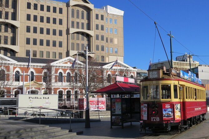 Christchurch City and Beaches Private Tesla Tour - Who Will Love This Tour?