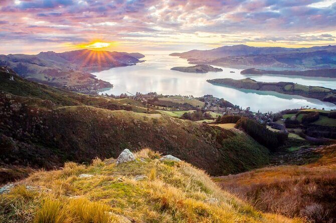 Christchurch City Highlights Half Day Tour - An In-Depth Look at the Christchurch City Highlights Half Day Tour