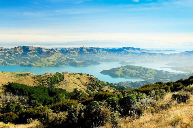 Christchurch City Highlights Half Day Tour - FAQ