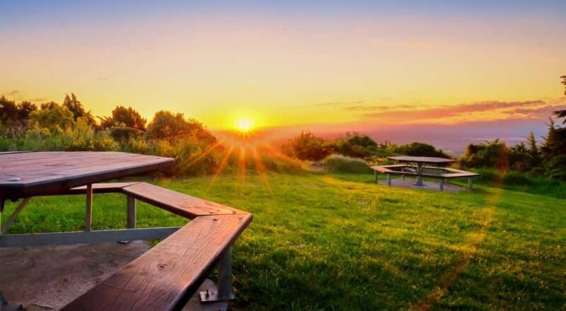 Christchurch City Highlights Half Day Tour - Who Should Consider This Tour?