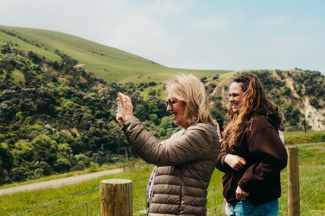 Christchurch City Top Sights Half Day Tour(Small Group Tour) - What the Reviews Say