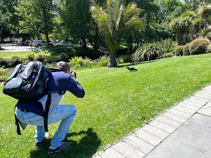 Christchurch City Top Spots Half Day Tour(Small Group Tour) - Authentic Traveler Feedback