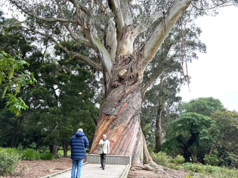 Christchurch City Top Spots Private Half Day Tour - Authentic Reviews and Insights
