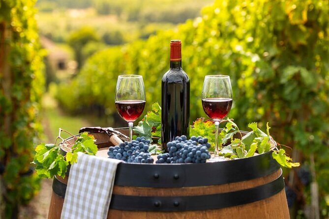 Christchurch City & Waipara Valley Wine Tour - An Overview of the Tour