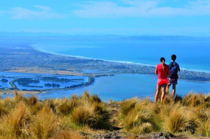 Christchurch: Full or Half-Day Rock Climbing Tour with Guide - What You Can Expect