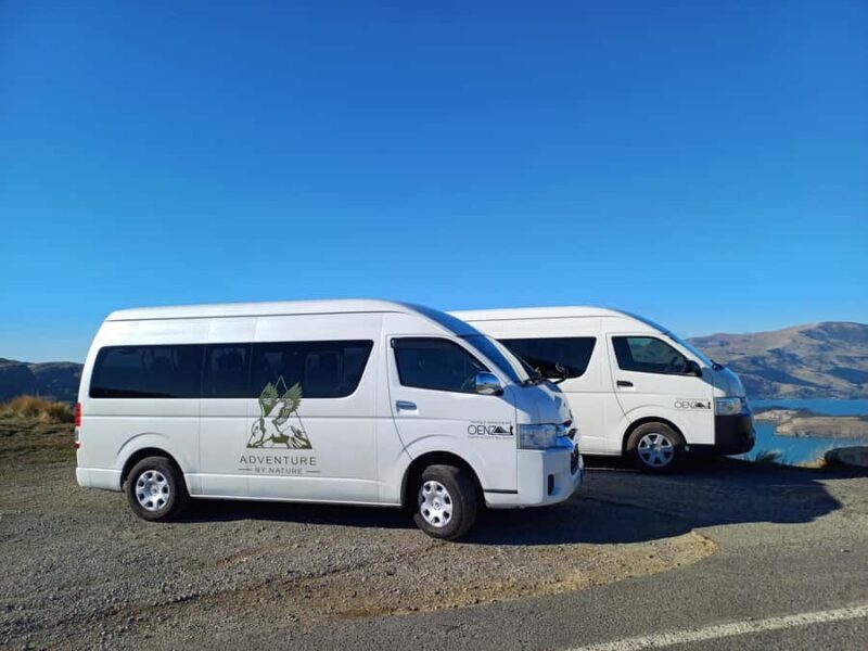 Christchurch: Full or Half-Day Rock Climbing Tour with Guide - Value and Practical Considerations