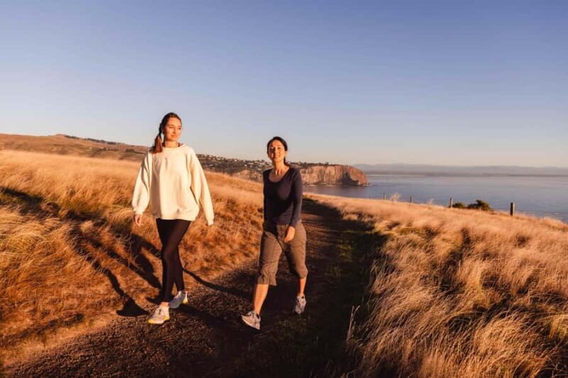 Christchurch: Godley Head & Lyttelton Guided Walking Tour - Who Will Love This Tour?