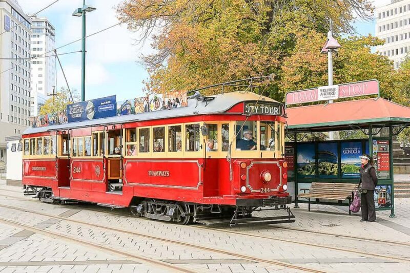 Christchurch Gondola and Tram City Tour Combo - Authentic Traveler Insights from Reviews