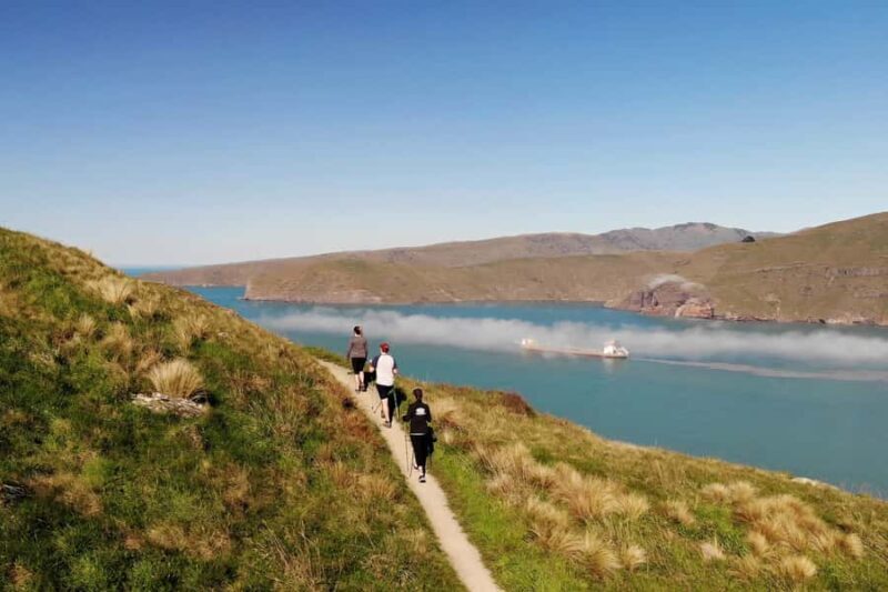 Christchurch: Guided Crater Rim Walk with Coastal Scenery - An In-Depth Look at the Guided Crater Rim Walk