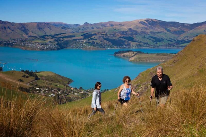 Christchurch: Guided Crater Rim Walk with Coastal Scenery - FAQ