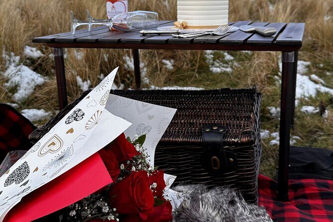 Christchurch Helicopter Picnic - An In-Depth Look at the Christchurch Helicopter Picnic