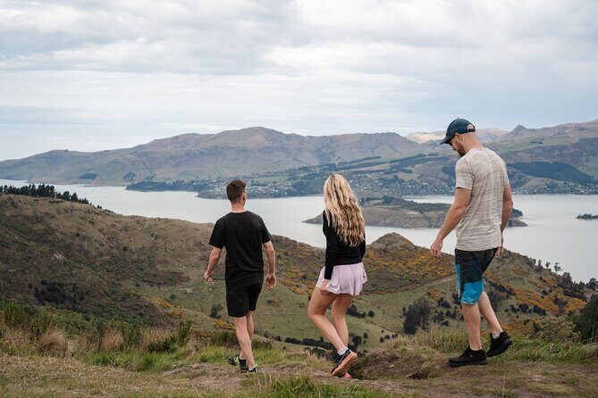 Christchurch Highlights Tour (Full Day Private) - A Complete Look at the Christchurch Highlights Tour
