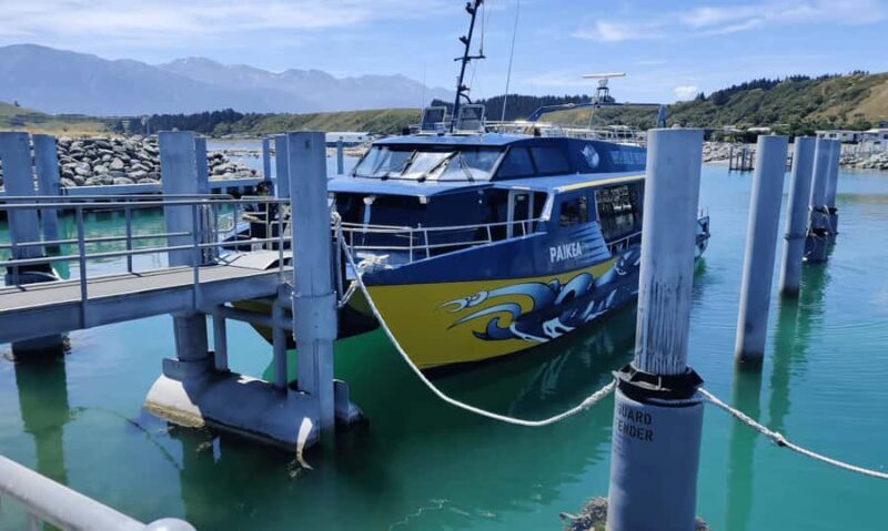 Christchurch: Kaikoura Day Tour with Hotel Pickup - Key Points