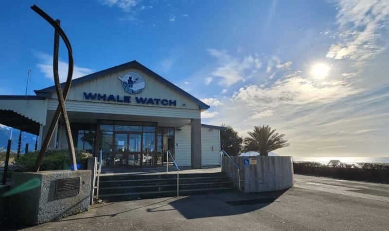 Christchurch: Kaikoura Day Tour with Hotel Pickup - A Detailed Look at the Experience