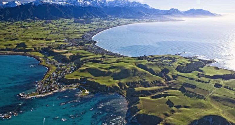 Christchurch: Kaikoura Whale Watching Day Tour - Key Points
