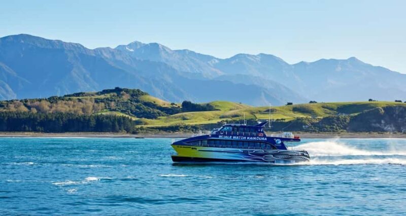 Christchurch: Kaikoura Whale Watching Day Tour - Visiting the Seal Colony and Local Culture