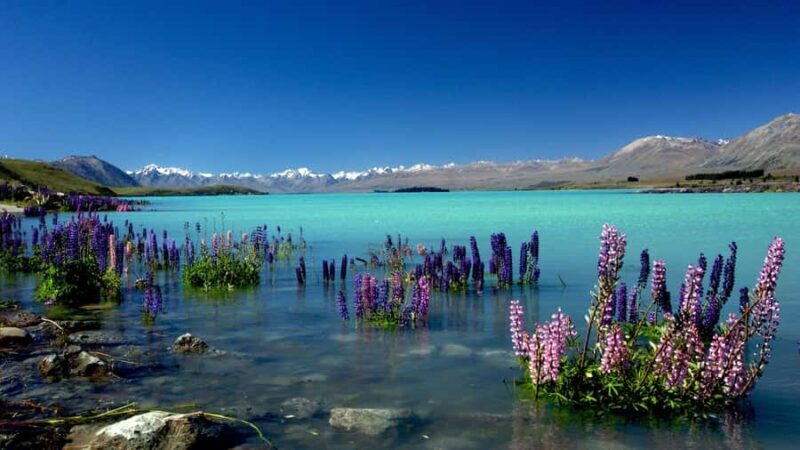 Christchurch: Mt Cook Day Trip/Lake Tekapo & Tasman Glacier - Final Thoughts: Who Should Consider This Tour?