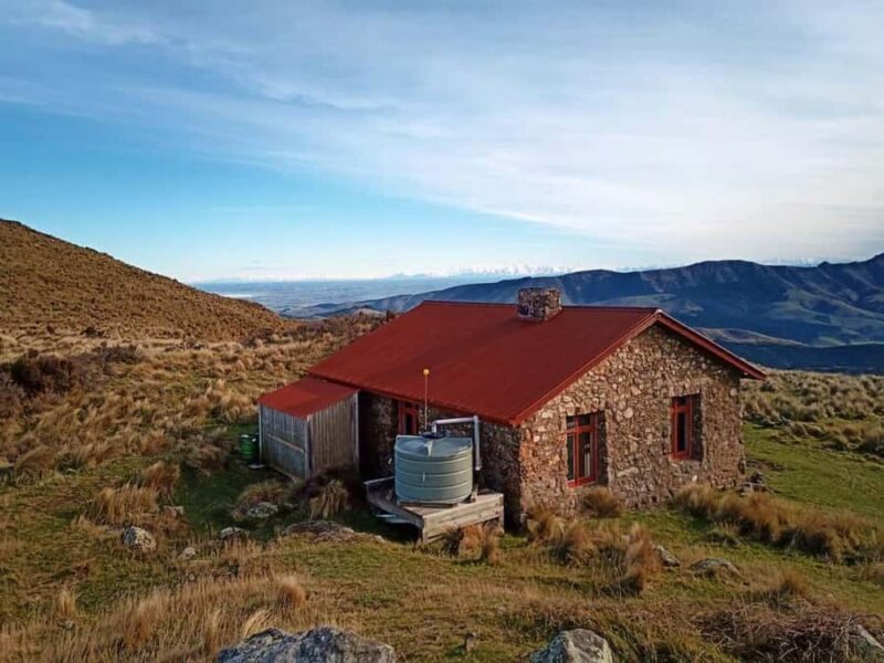 Christchurch: Packhorse Hut Guided Walk and Scenic Drive - An In-Depth Look at the Tour Experience