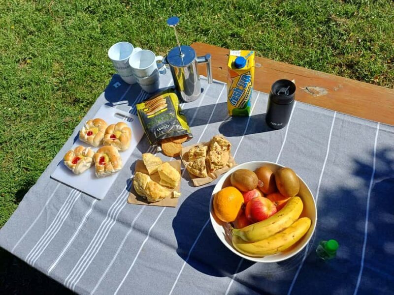Christchurch: Packhorse Hut Guided Walk and Scenic Drive - In The Sum Up