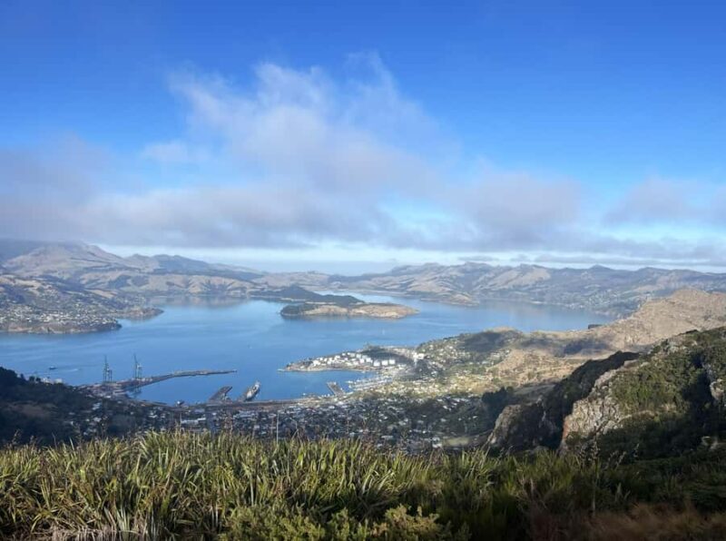 Christchurch: Port Hills Full-Day Trail Running Tour - Key Points