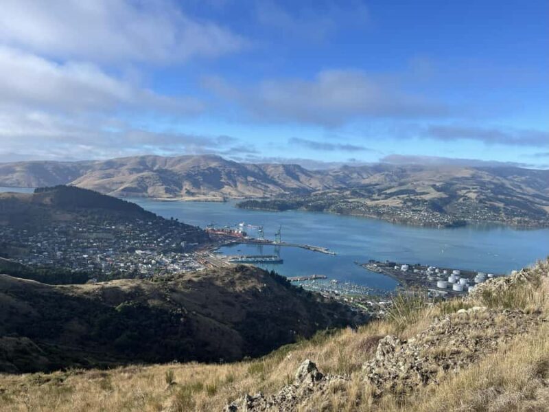 Christchurch: Port Hills Full-Day Trail Running Tour - Midway lunch: café or picnic?