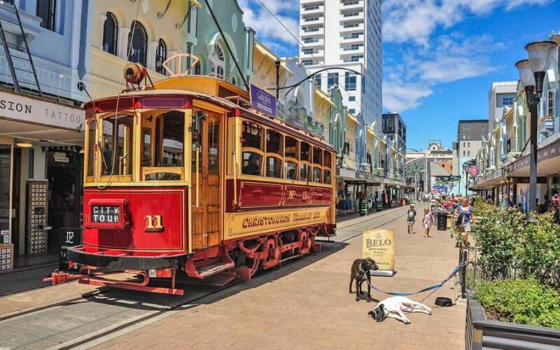 Christchurch: Private City Day Tour - Why Consider the Christchurch Private City Day Tour?