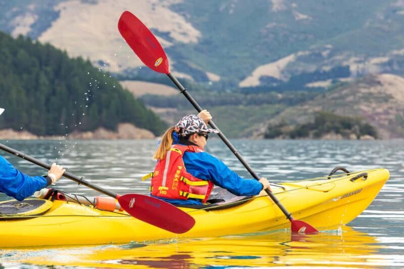 Christchurch: Sea Kayaking Tour of Lyttelton Harbour - Key Points