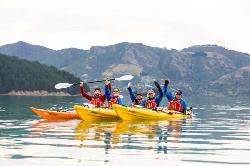 Christchurch: Sea Kayaking Tour of Lyttelton Harbour - An In-Depth Look at the Lyttelton Harbour Kayaking Experience