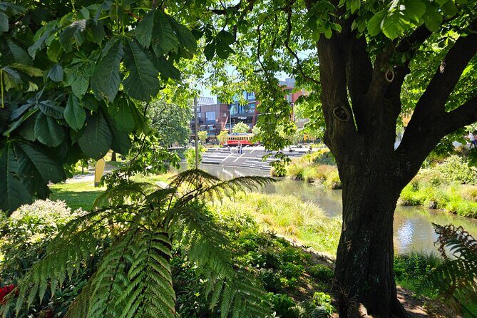 Christchurch Secret Inner City Walking Tour and Hidden Gems - Exploring Christchurch’s Hidden Stories and Paths