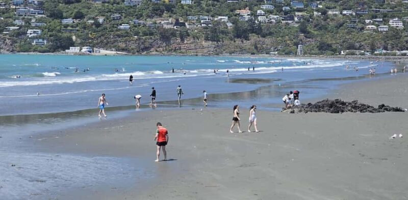 Christchurch Sightseeing & Lyttelton Harbour Tour - An In-Depth Look at the Christchurch Sightseeing & Lyttelton Harbour Tour
