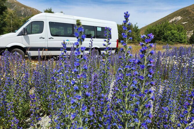 Christchurch to Franz Josef via Hokitika (1 way) - An In-Depth Look at the Itinerary