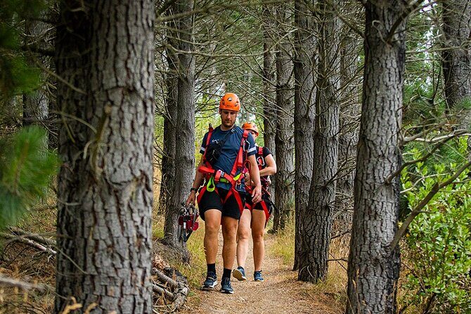 Christchurch Zipline Tour - Weather and Physical Requirements