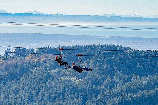 Christchurch Zipline Tour - Authentic Feedback: What Travelers Say