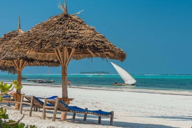 Christmas and New Year Safari with Zanzibar - Exploring the Safari Experience: A Deep Dive
