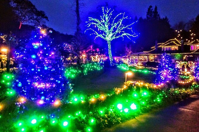 Christmas in Victoria and the Butchart Gardens - A Closer Look at the Tour Experience