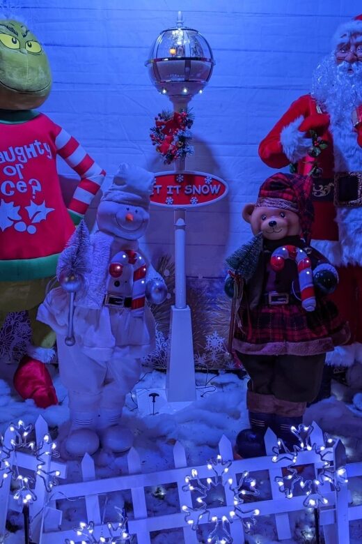 Christmas Light Night tour - What’s Included and What’s Not