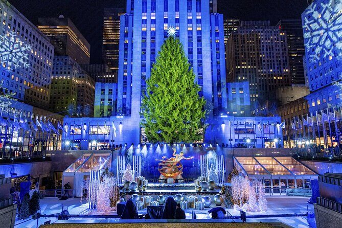 Christmas Light Private Carriage Ride New York City - Key Points
