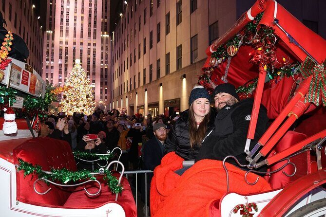 Christmas Light Private Carriage Ride New York City - A Detailed Look at the Experience