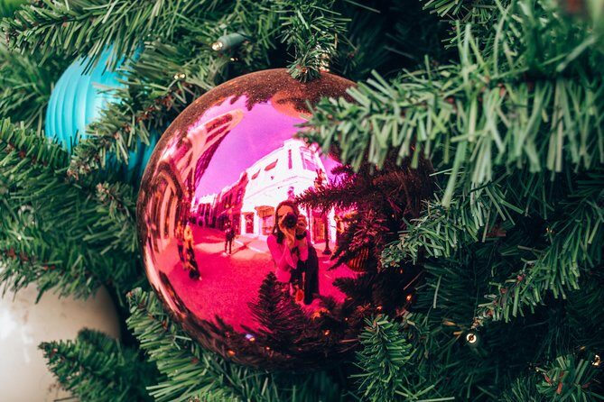 Christmas Lights in Beverly Hills - Private Guide and Free Coffee with Dessert - Who Should Consider This Tour?