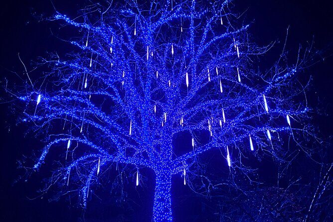 Christmas Lights Tour Butchart Gardens & City Tour in Victoria BC - FAQ